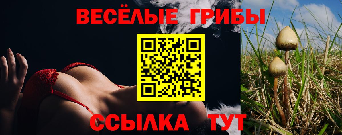 Псилоцибиновые грибы мухоморы Новошахтинск