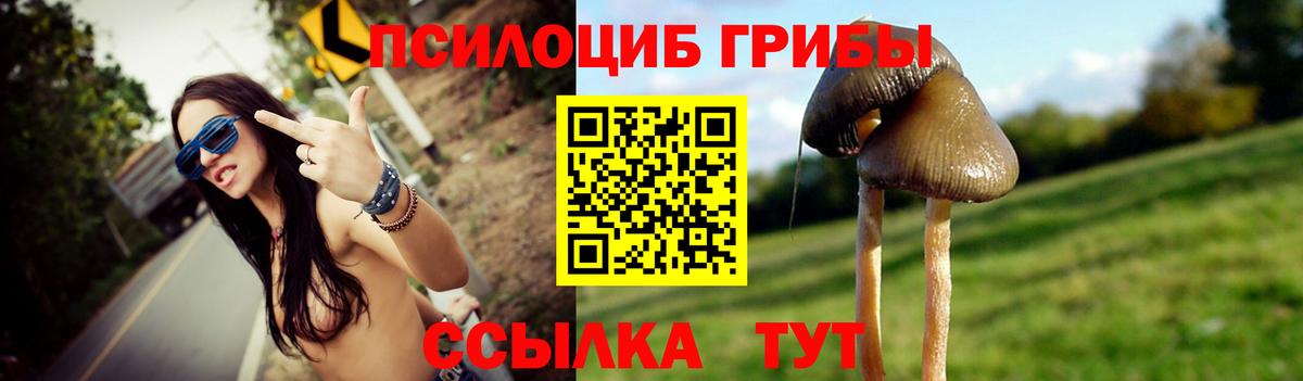 Новошахтинск  Псилоцибиновые грибы Cubensis  Вход с VPN 